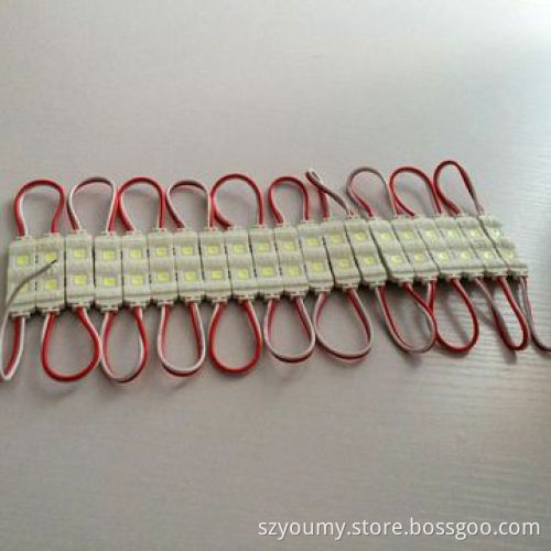 SMD 5050 LED Injection LED Module Light, 2 LED Waterproof IP67 Outdoor Cool White Warm White